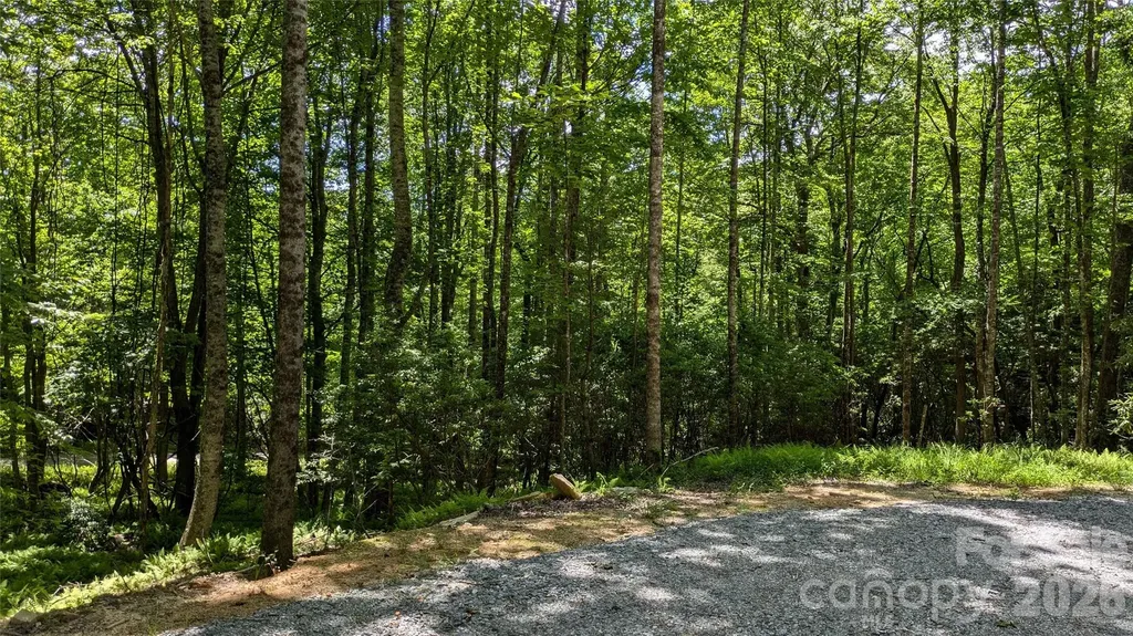 313 Line Runner Ridge Road Rosman NC 28772