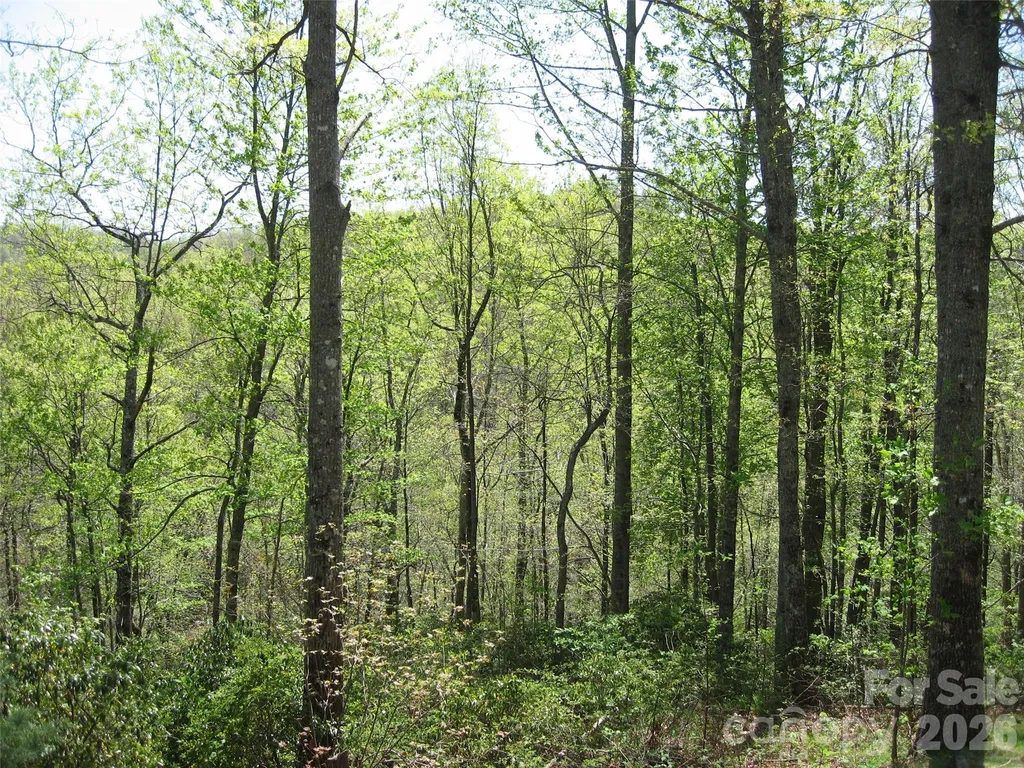 313 Line Runner Ridge Road Rosman NC 28772