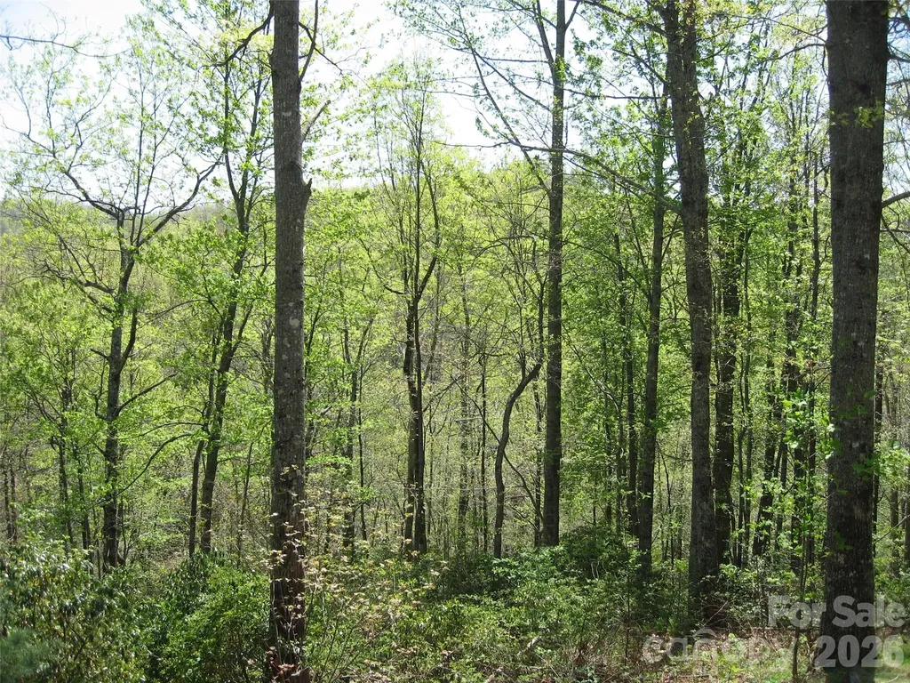 313 Line Runner Ridge Road Rosman NC 28772