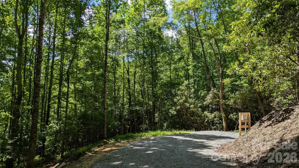 313 Line Runner Ridge Road Rosman NC 28772
