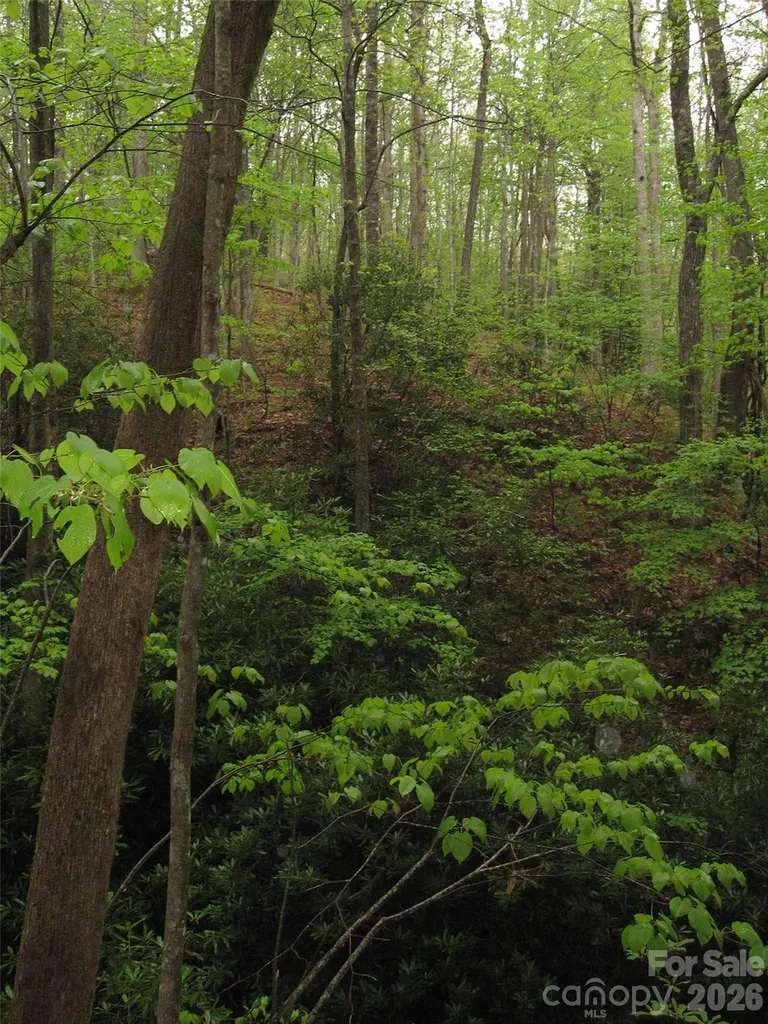 313 Line Runner Ridge Road Rosman NC 28772