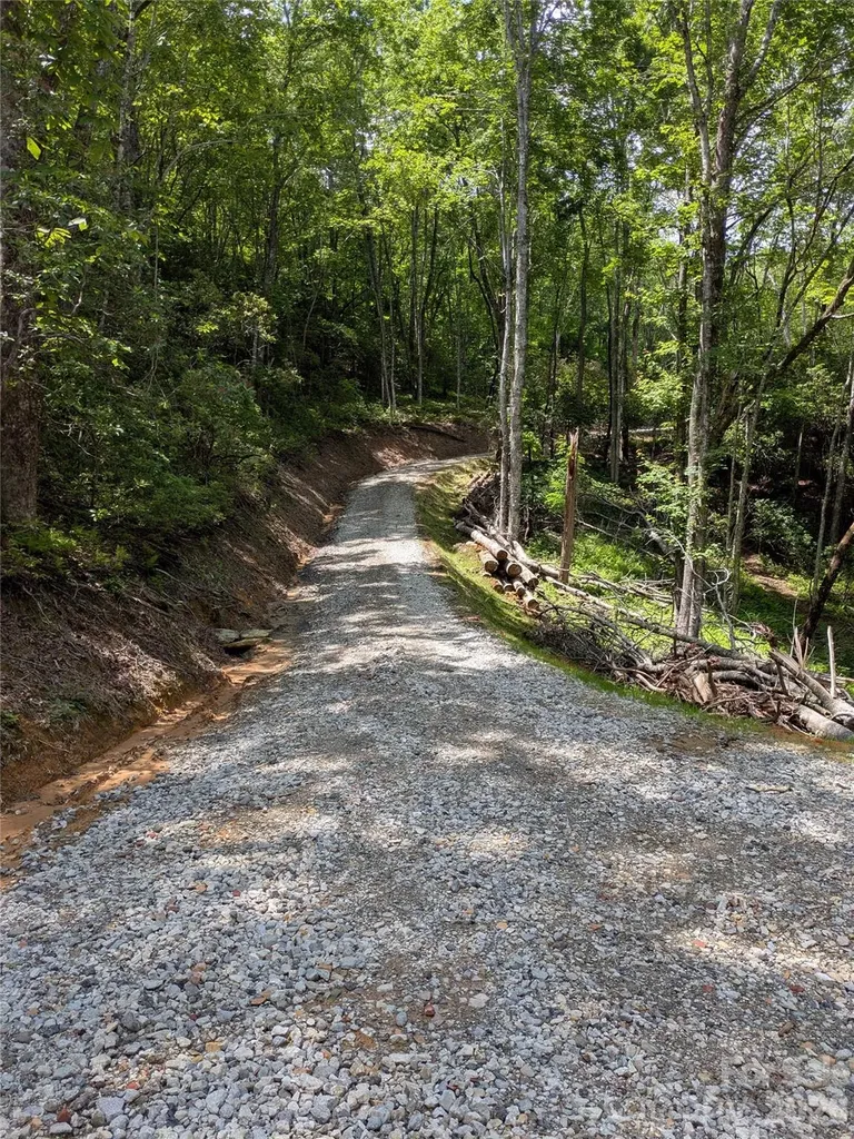 313 Line Runner Ridge Road Rosman NC 28772