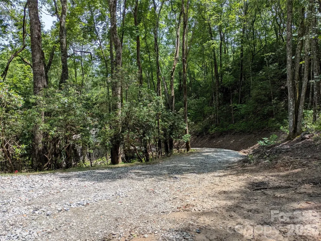 313 Line Runner Ridge Road Rosman NC 28772