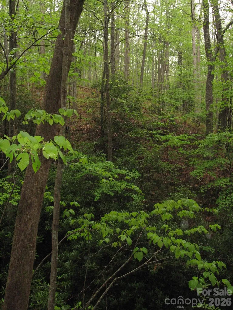 313 Line Runner Ridge Road Rosman NC 28772