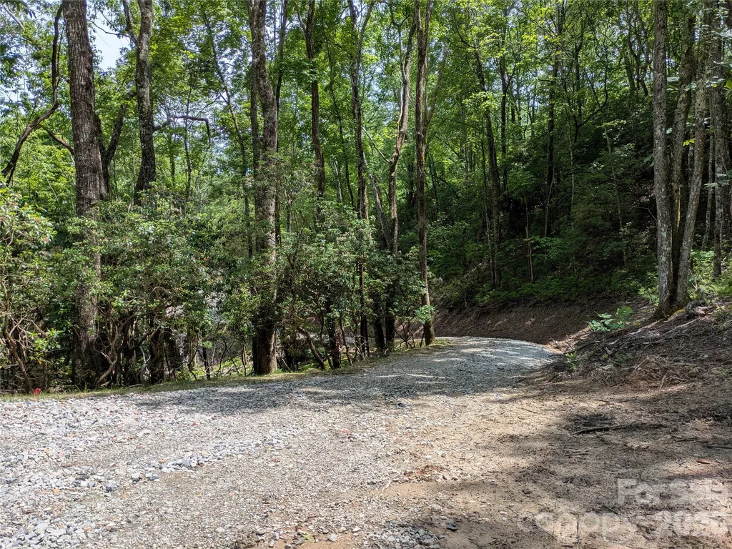 313 Line Runner Ridge Road Rosman NC 28772