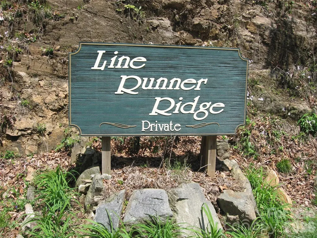 313 Line Runner Ridge Road Rosman NC 28772
