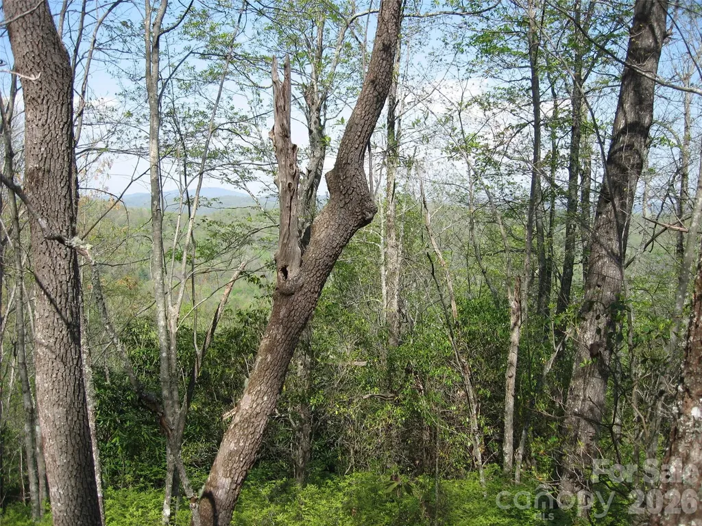 313 Line Runner Ridge Road Rosman NC 28772