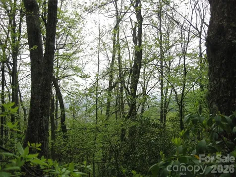 313 Line Runner Ridge Road Rosman NC 28772