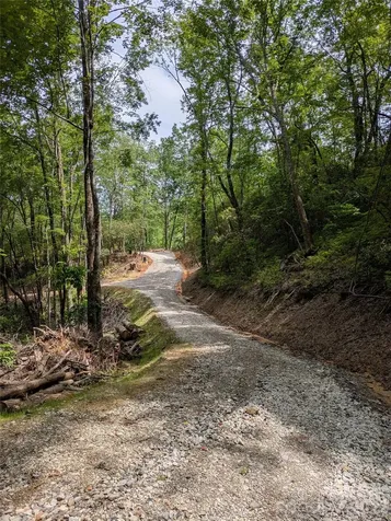 313 Line Runner Ridge Road Rosman NC 28772