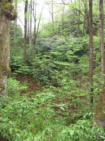 313 Line Runner Ridge Road Rosman NC 28772
