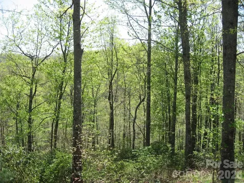 313 Line Runner Ridge Road Rosman NC 28772
