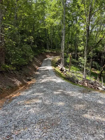 313 Line Runner Ridge Road Rosman NC 28772