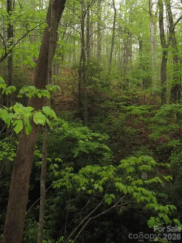 313 Line Runner Ridge Road Rosman NC 28772