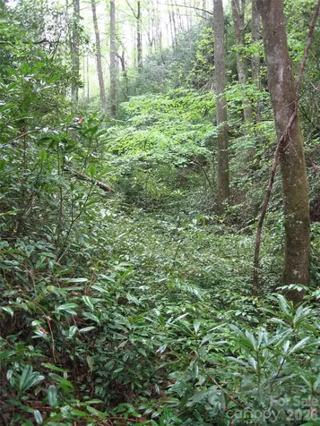 313 Line Runner Ridge Road Rosman NC 28772