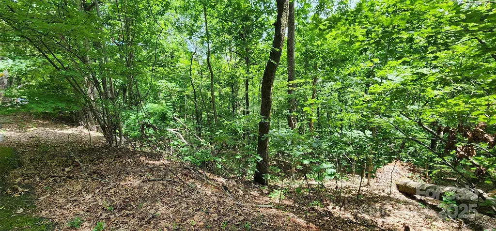 Lot 34 White Oak Mountain Road Columbus NC 28722