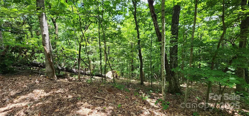 Lot 34 White Oak Mountain Road Columbus NC 28722