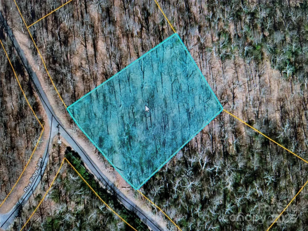 0 Sunset Ridge Drive Columbus NC 28722