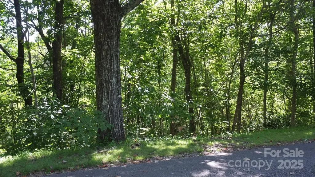 0 Sunset Ridge Drive Columbus NC 28722