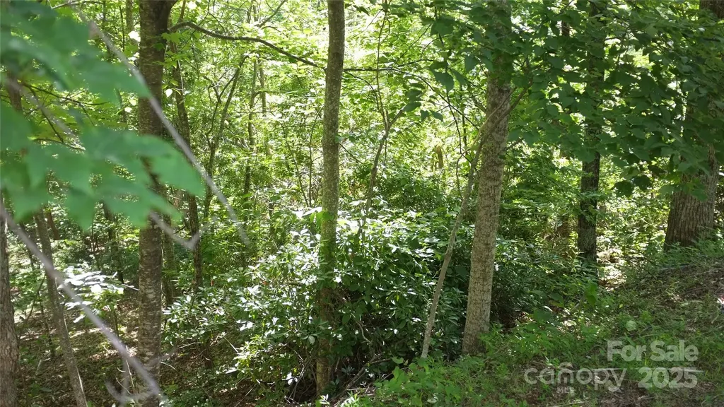 0 Sunset Ridge Drive Columbus NC 28722