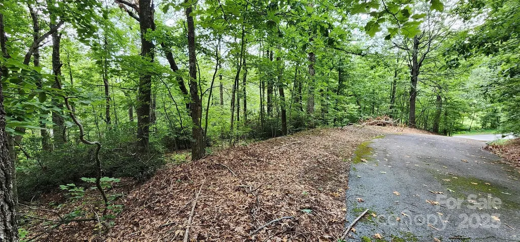 Lot 31 White Oak Mountain Road Columbus NC 28722
