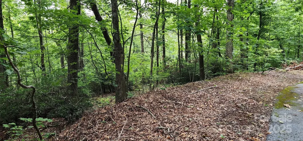 Lot 31 White Oak Mountain Road Columbus NC 28722