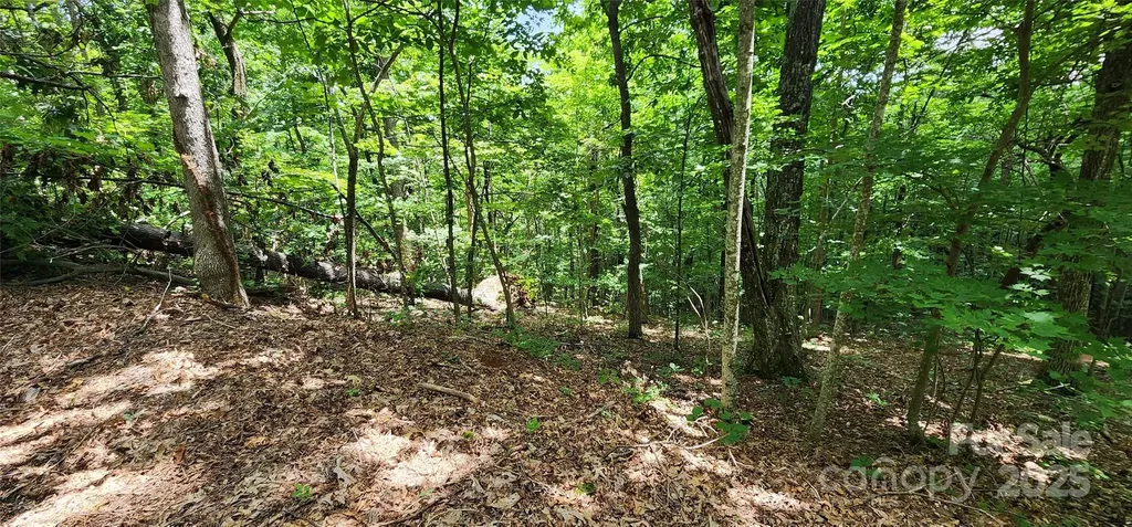 Lot 31 White Oak Mountain Road Columbus NC 28722