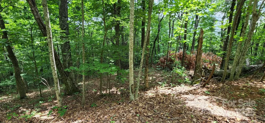 Lot 31 White Oak Mountain Road Columbus NC 28722