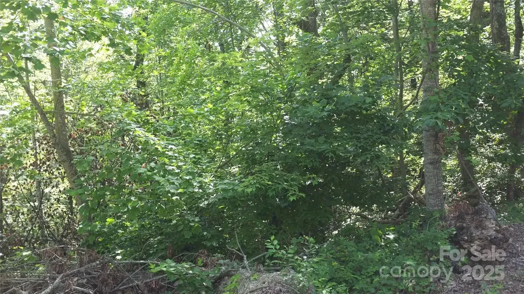 0 Sunset Ridge Drive Columbus NC 28722
