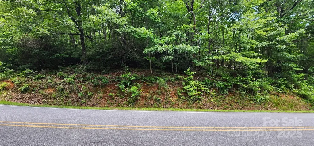 Lot 37 White Oak Mountain Road Columbus NC 28722