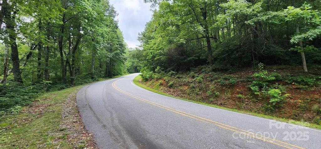 Lot 37 White Oak Mountain Road Columbus NC 28722