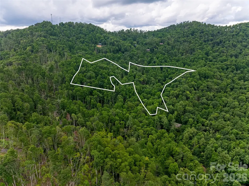 163 Tweetys Knoll Burnsville NC 28714