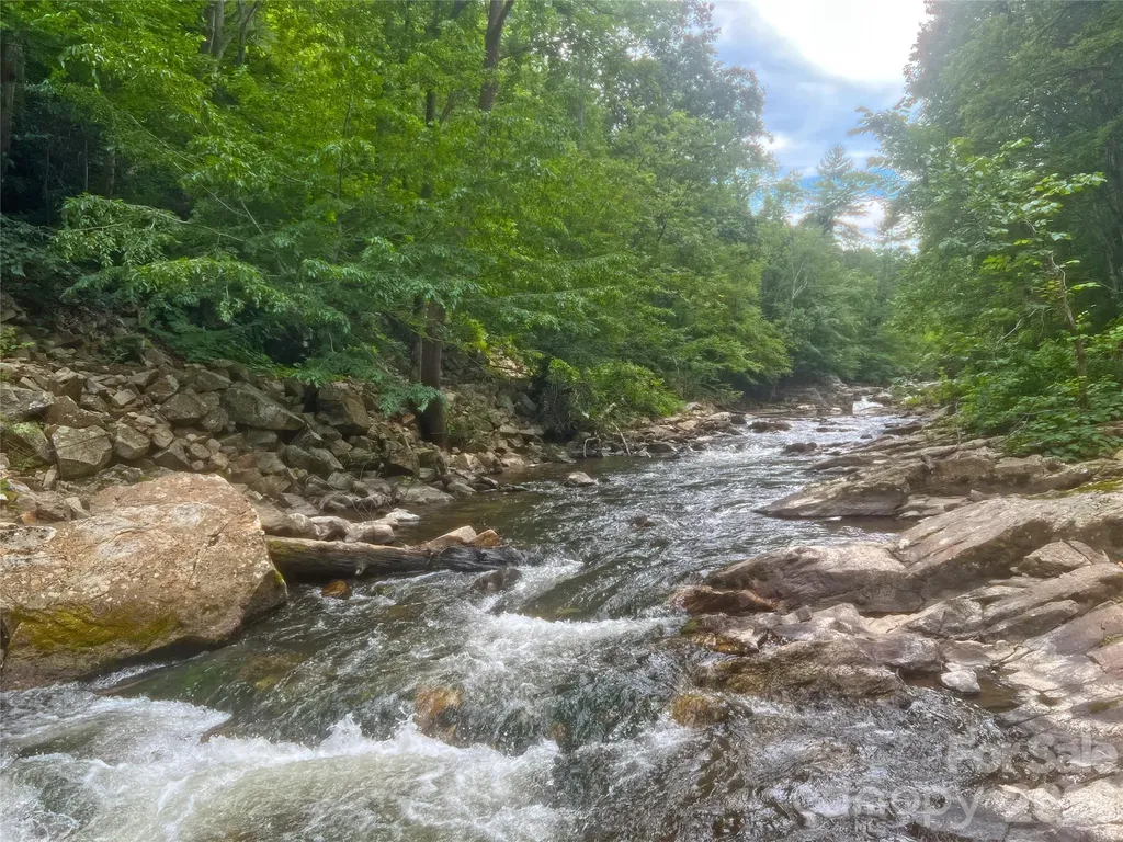 257 Henderson Drive Hot Springs NC 28743