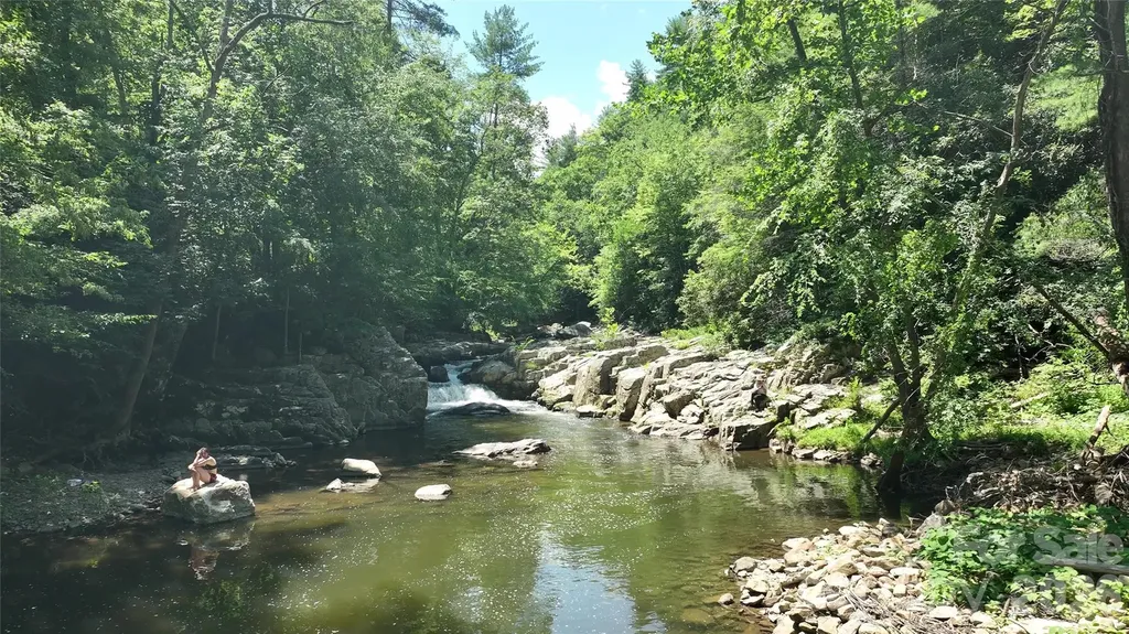 257 Henderson Drive Hot Springs NC 28743