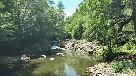 257 Henderson Drive Hot Springs NC 28743