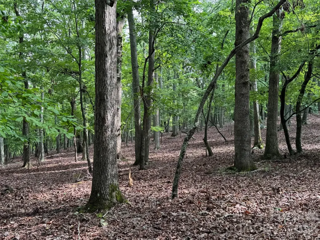 1695 Sierra Trace Road Denton NC 27239