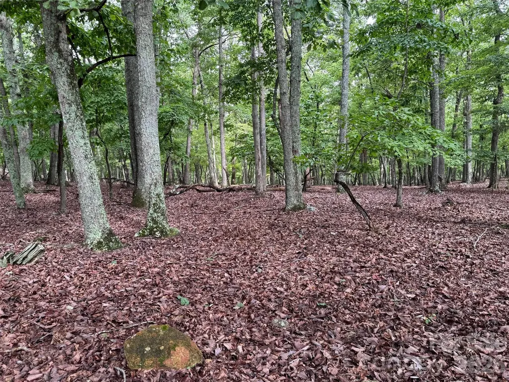 1695 Sierra Trace Road Denton NC 27239