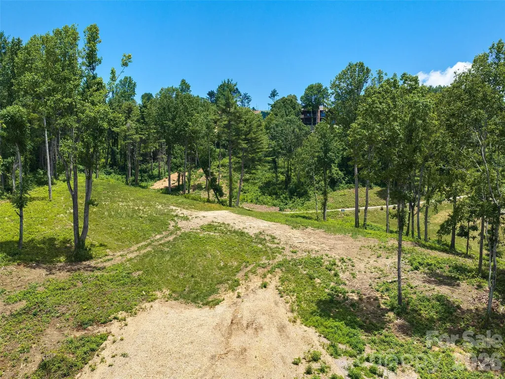 620 Dancing Bear Drive Hendersonville NC 28792