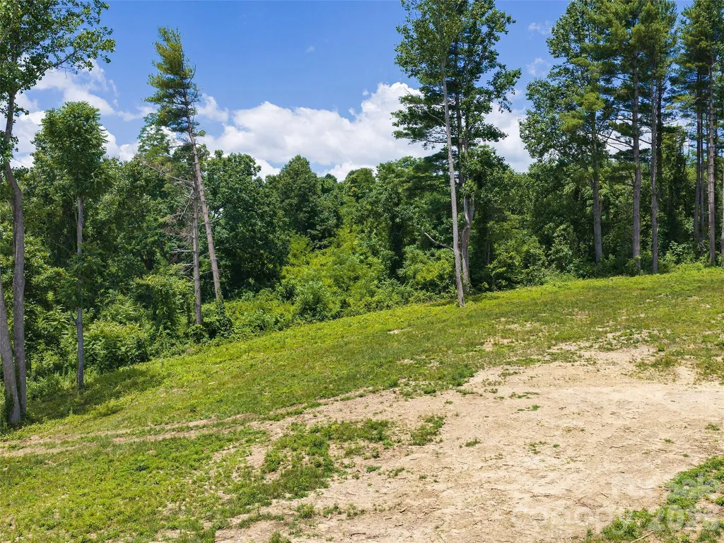 620 Dancing Bear Drive Hendersonville NC 28792