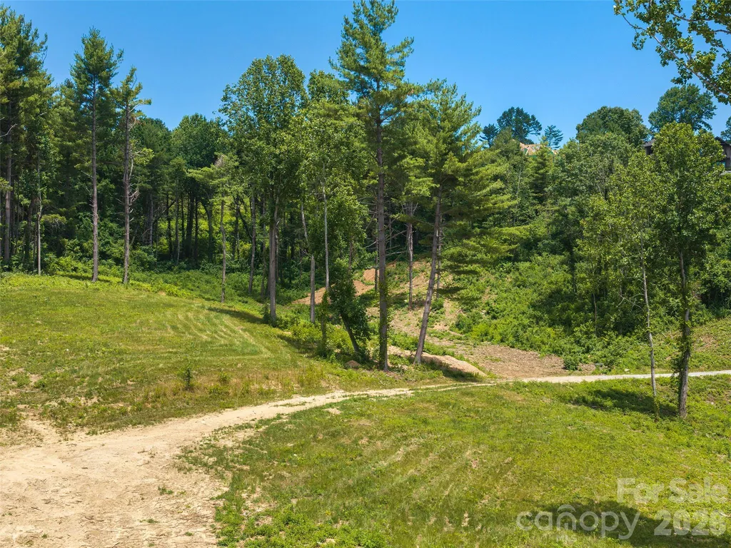 620 Dancing Bear Drive Hendersonville NC 28792