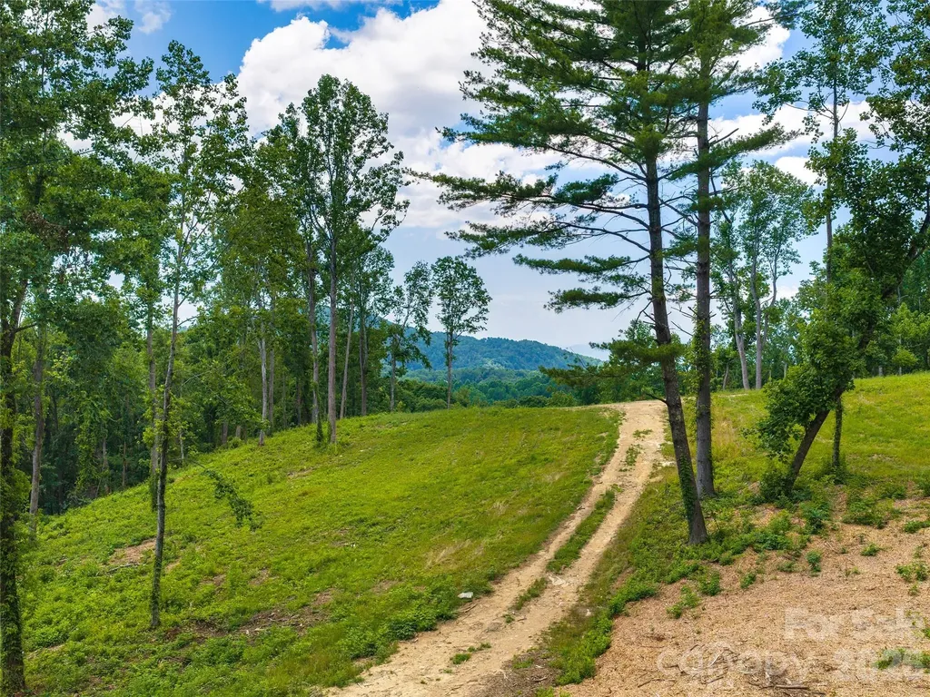 620 Dancing Bear Drive Hendersonville NC 28792