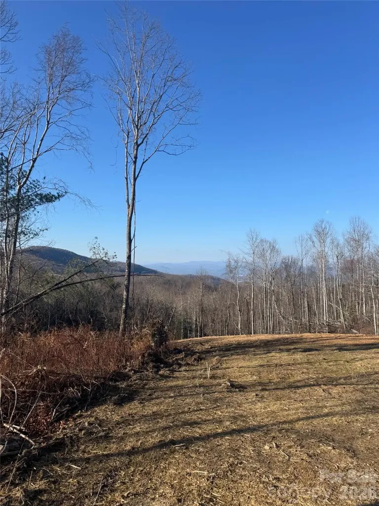 620 Dancing Bear Drive Hendersonville NC 28792