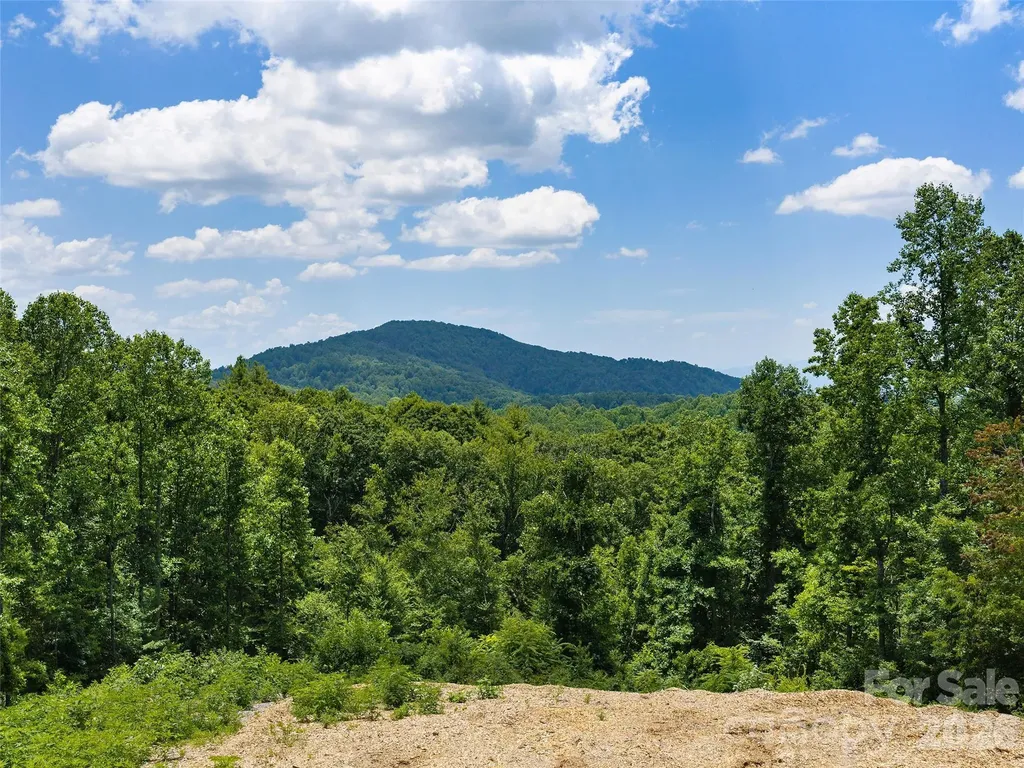 620 Dancing Bear Drive Hendersonville NC 28792