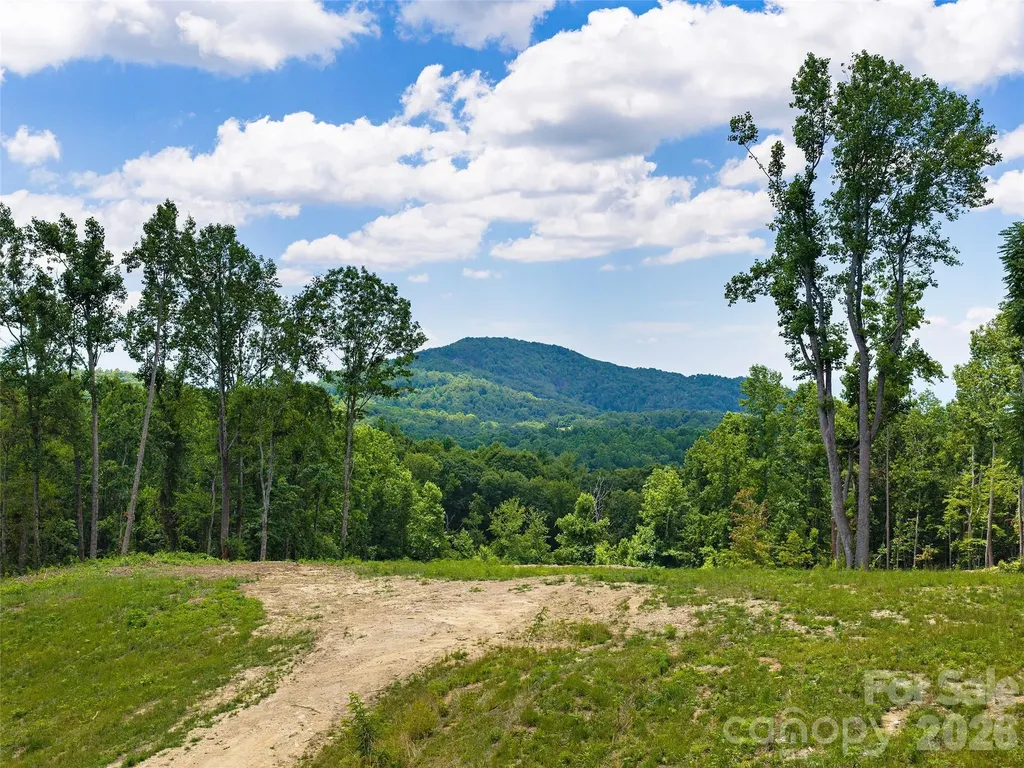 620 Dancing Bear Drive Hendersonville NC 28792
