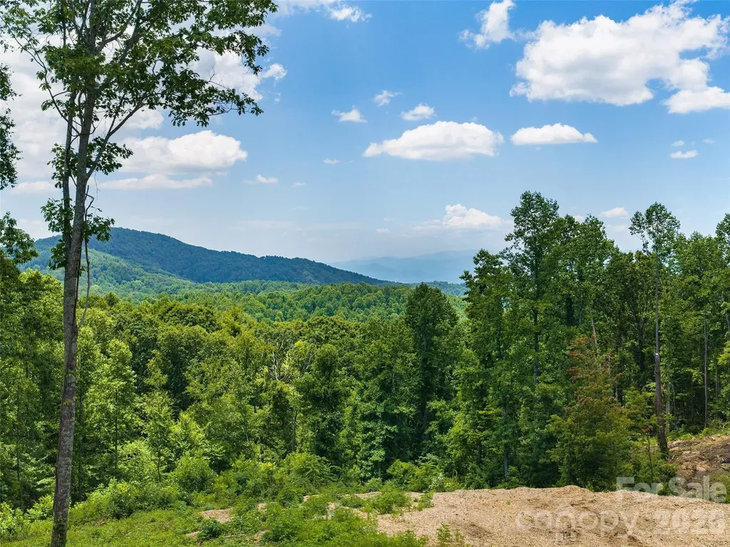 620 Dancing Bear Drive Hendersonville NC 28792
