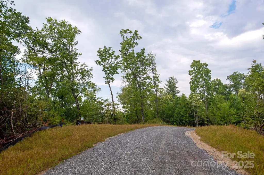 Lot # 1 Masterpiece View Drive Hendersonville NC 28739