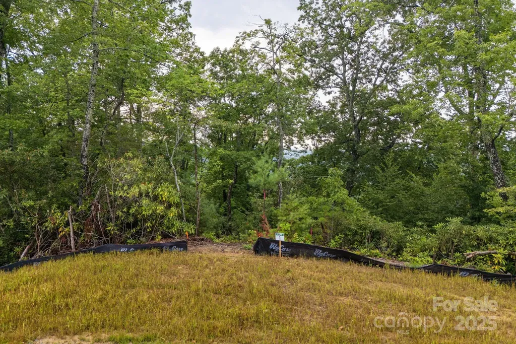 Lot # 1 Masterpiece View Drive Hendersonville NC 28739