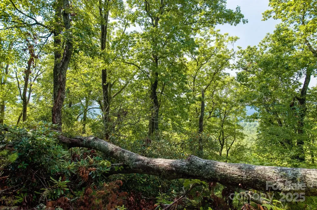 Lot # 1 Masterpiece View Drive Hendersonville NC 28739