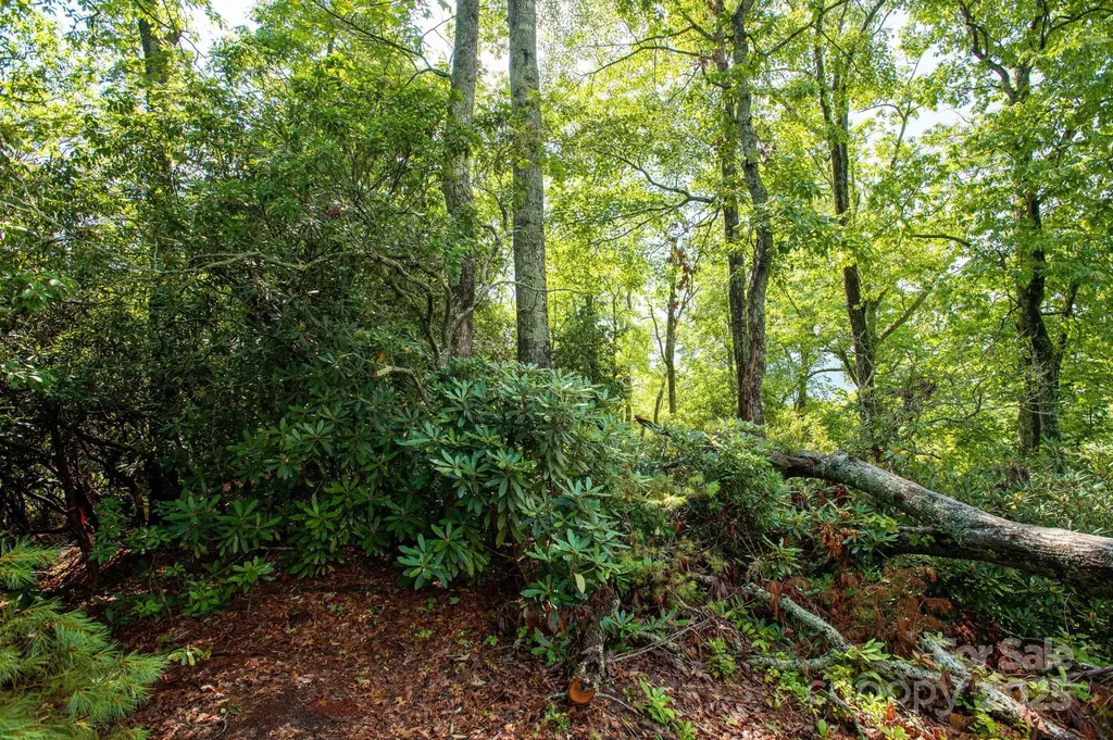 Lot # 1 Masterpiece View Drive Hendersonville NC 28739