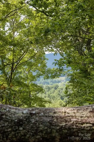 Lot # 1 Masterpiece View Drive Hendersonville NC 28739