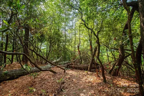 Lot # 1 Masterpiece View Drive Hendersonville NC 28739